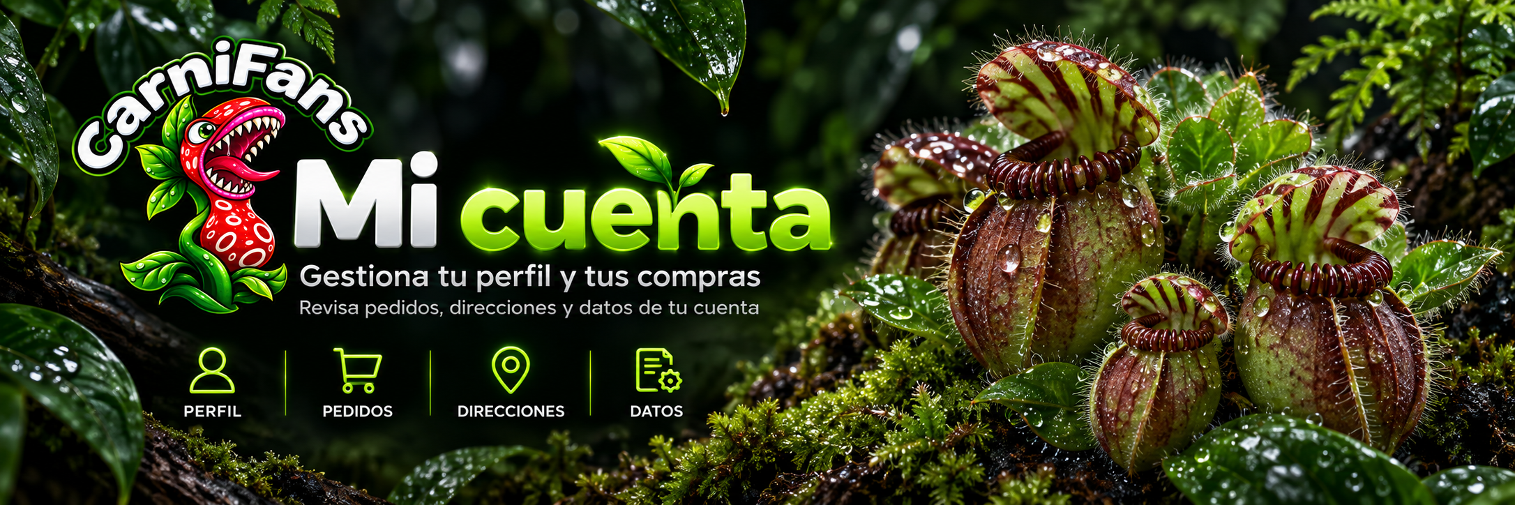 Mi cuenta Carnifans: perfil, pedidos, direcciones y datos