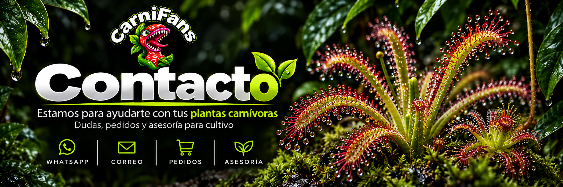 Contacto Carnifans: dudas, pedidos y asesoría para plantas carnívoras